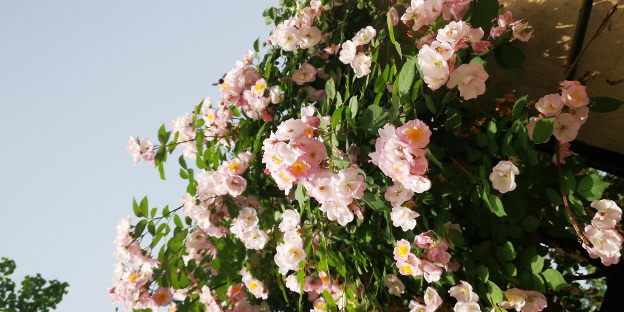 画龙画虎难画骨
知人知面不知心
这是个老对联了！