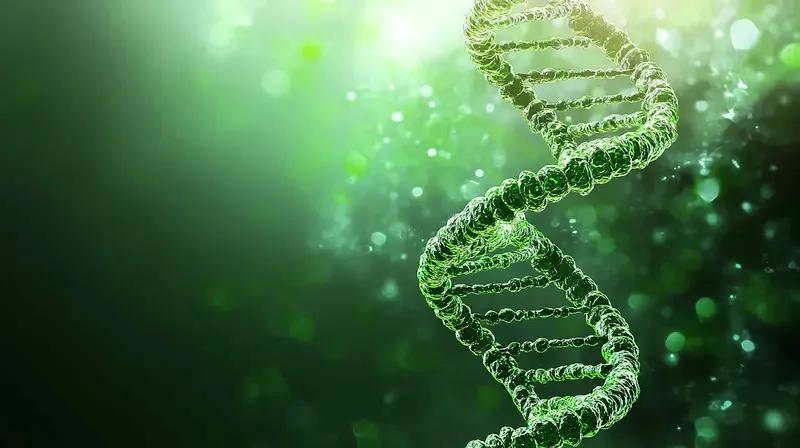 世界上一切的矛盾；都是来源于人类、人类伦理本质的进化[赞]//@老李爱电子:讲的