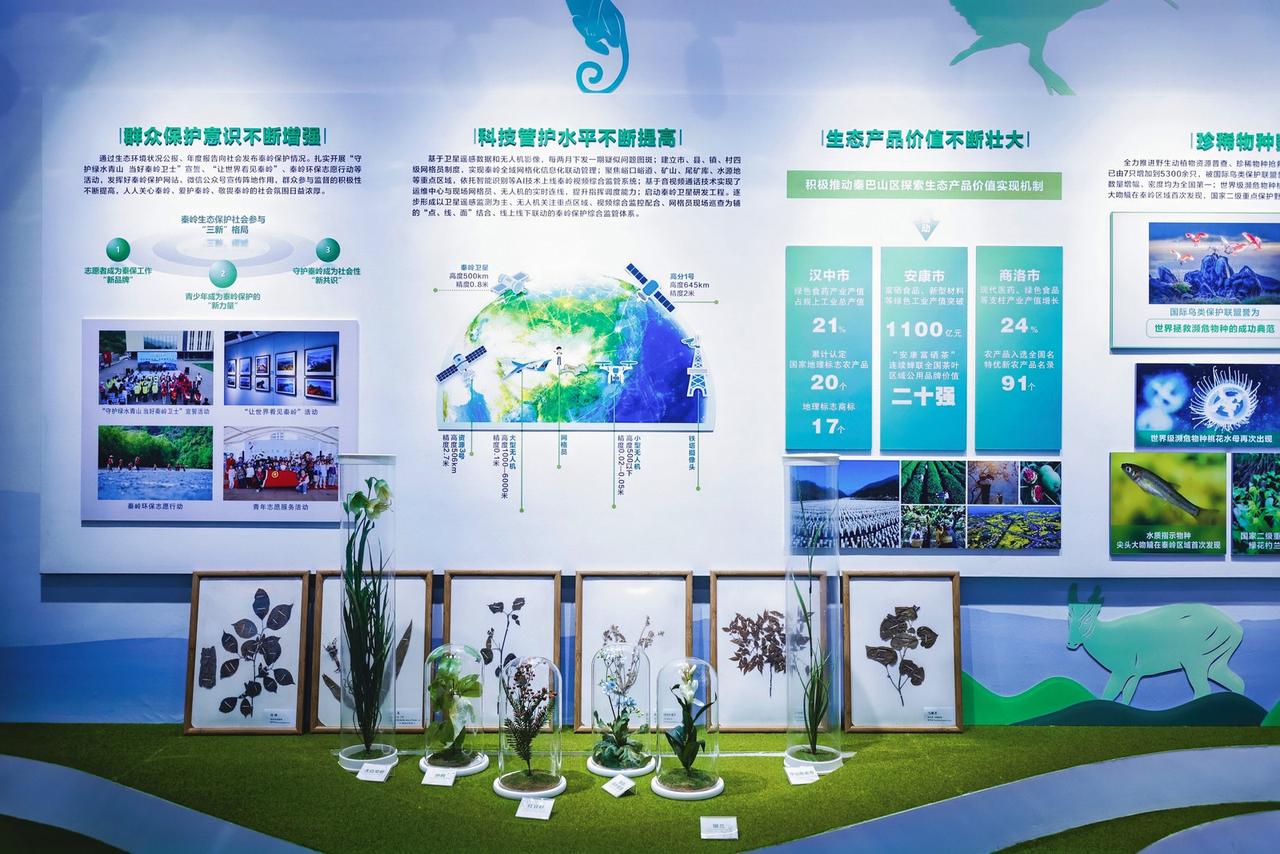 为筑牢秦岭生态安全屏障，陕西自2018年起深耕“智慧管山”模式，推进秦岭生态保护