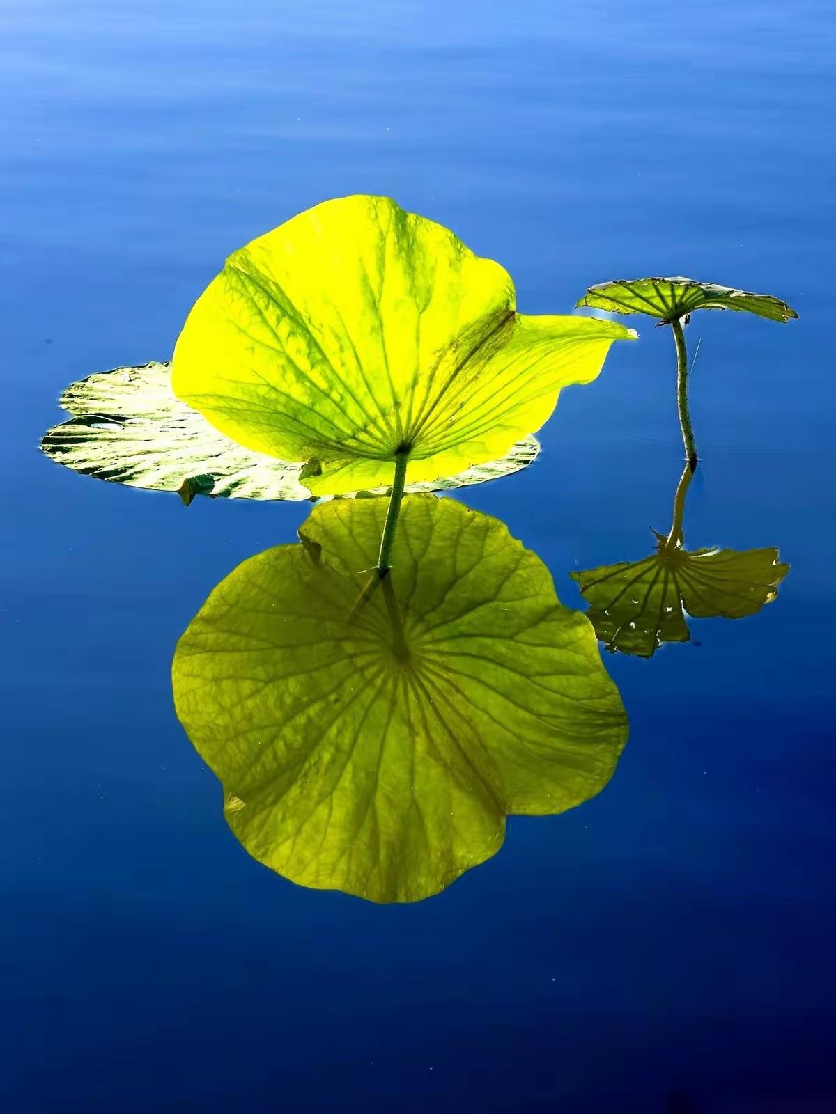 每看到贷款买房者在网上卖惨，我就想回怼一句：“自己选择的路，跪着爬着也要走下去”