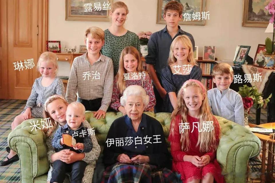 给大家介绍一下这张大合照里的人物：
孙女露易丝，孙子詹姆斯，女王小儿子爱德华王子
