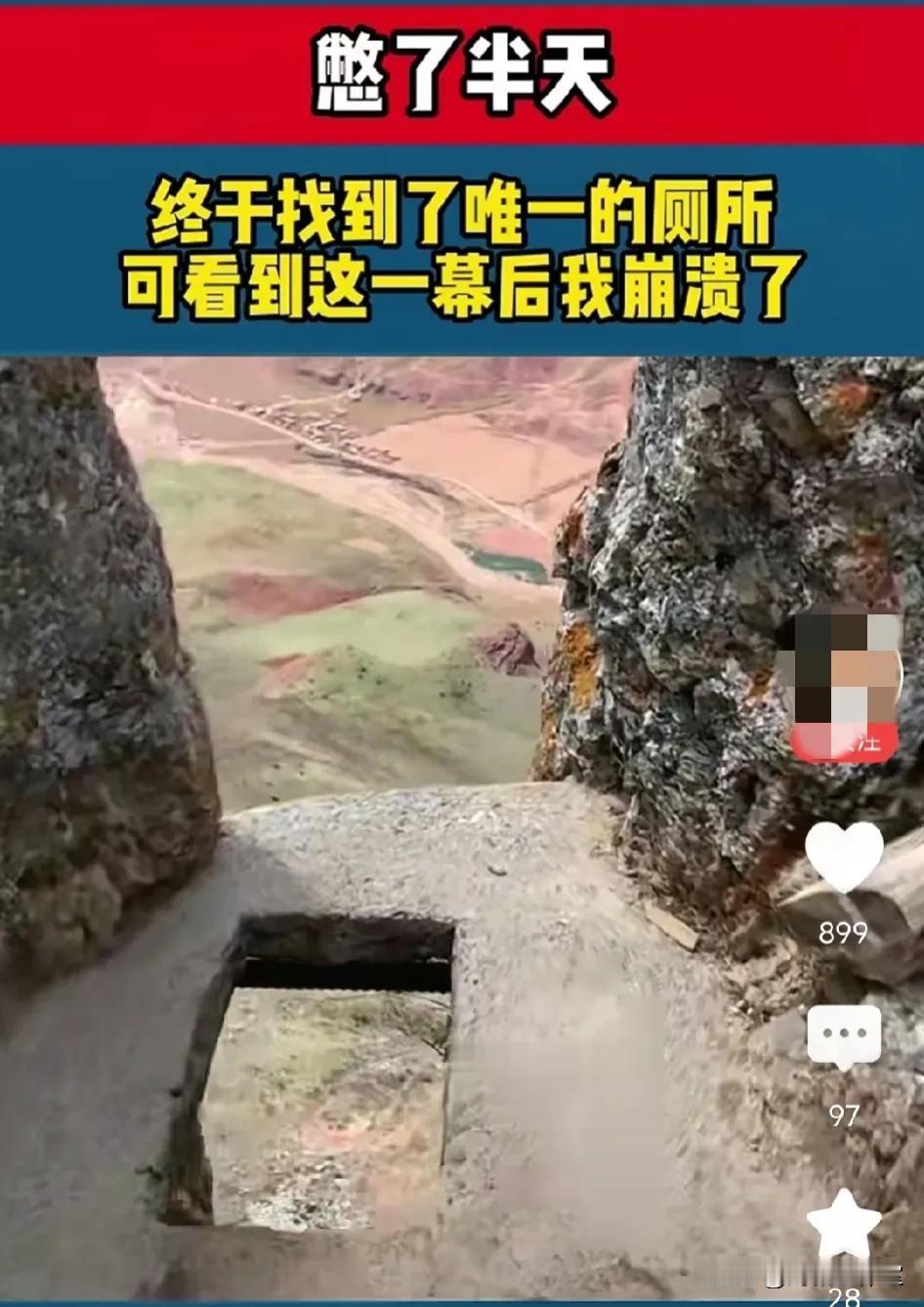 生活不只是苟且，还有屎和远方！

在这个社会上生活的我们，渺小的就如同一只蚂蚁，