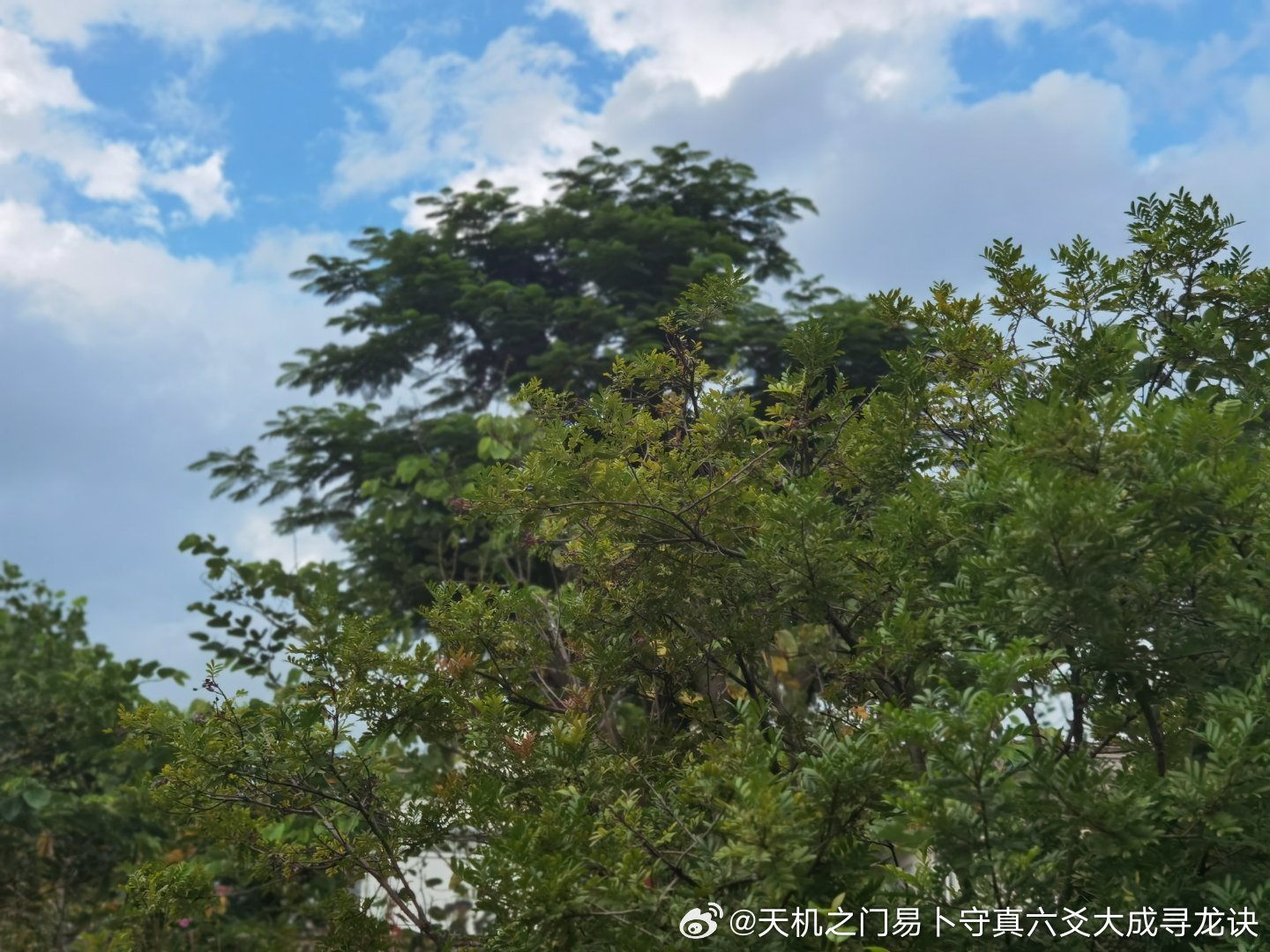 许多退休长辈计划置换养老别墅、翻新老家宅院，格外看重住宅风水对身心健康、家庭福气