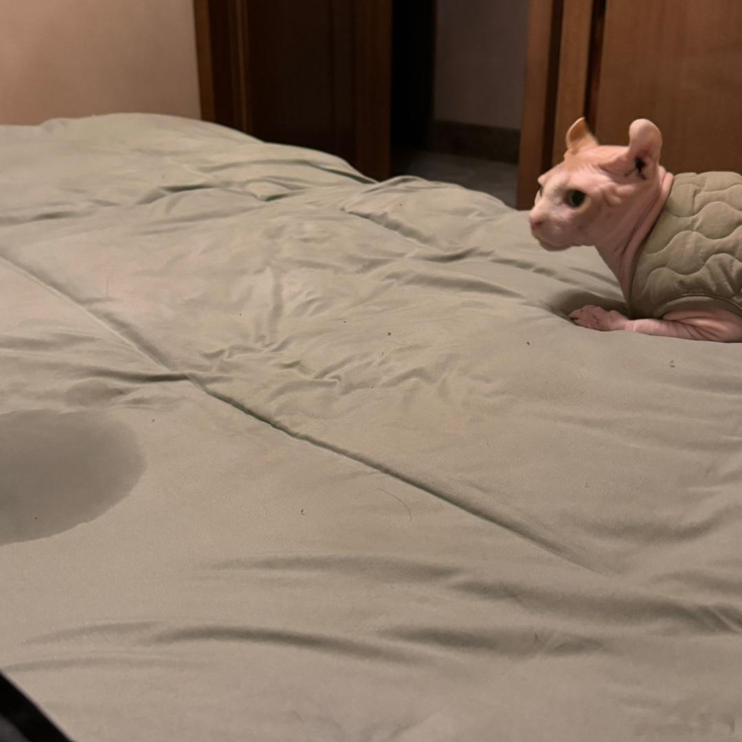你每次都睁大眼看老色批😑 ​​​