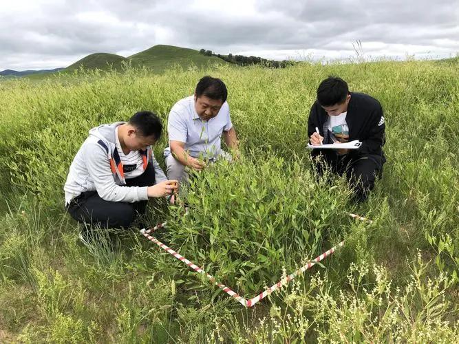 报志愿与看就业之五：高校冷门专业名单
兰州大学：草学
西北农林大学：葡萄酒
哈尔