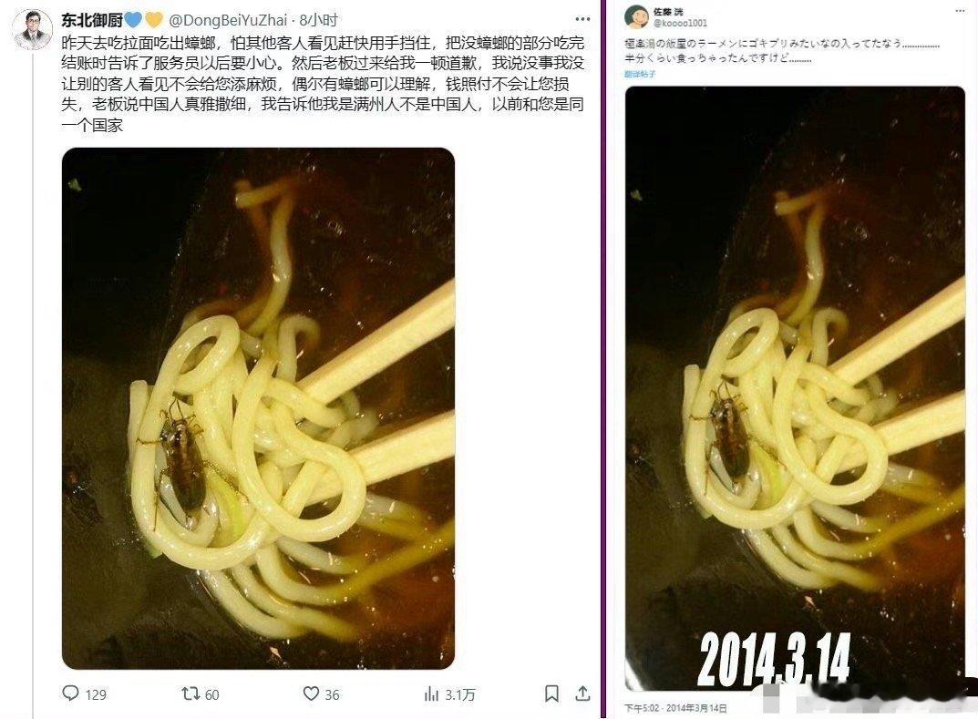 一碗面放了十年，这只蟑螂也挺辛苦的！[吃瓜] ​​​