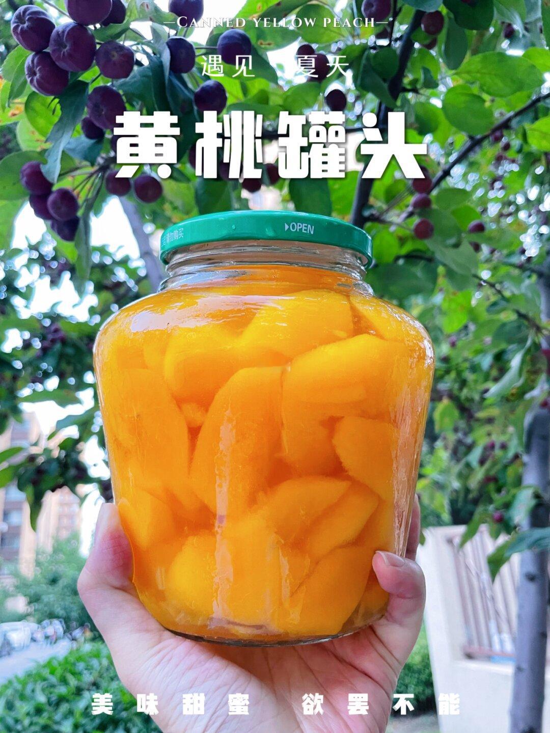 在家自制黄桃罐头，口味胜过真心罐头✨🤩