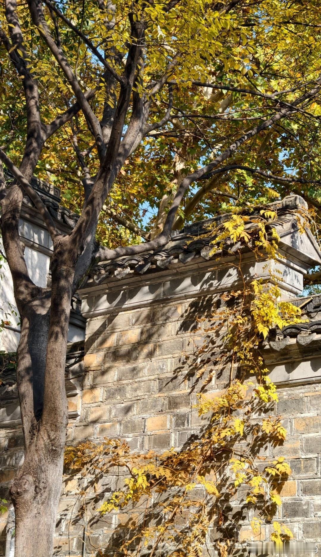 昆仑仙本—道德经第十二章五色目盲，五音耳聋；五味口爽，五香心芳。驰骋发狂，贵货行