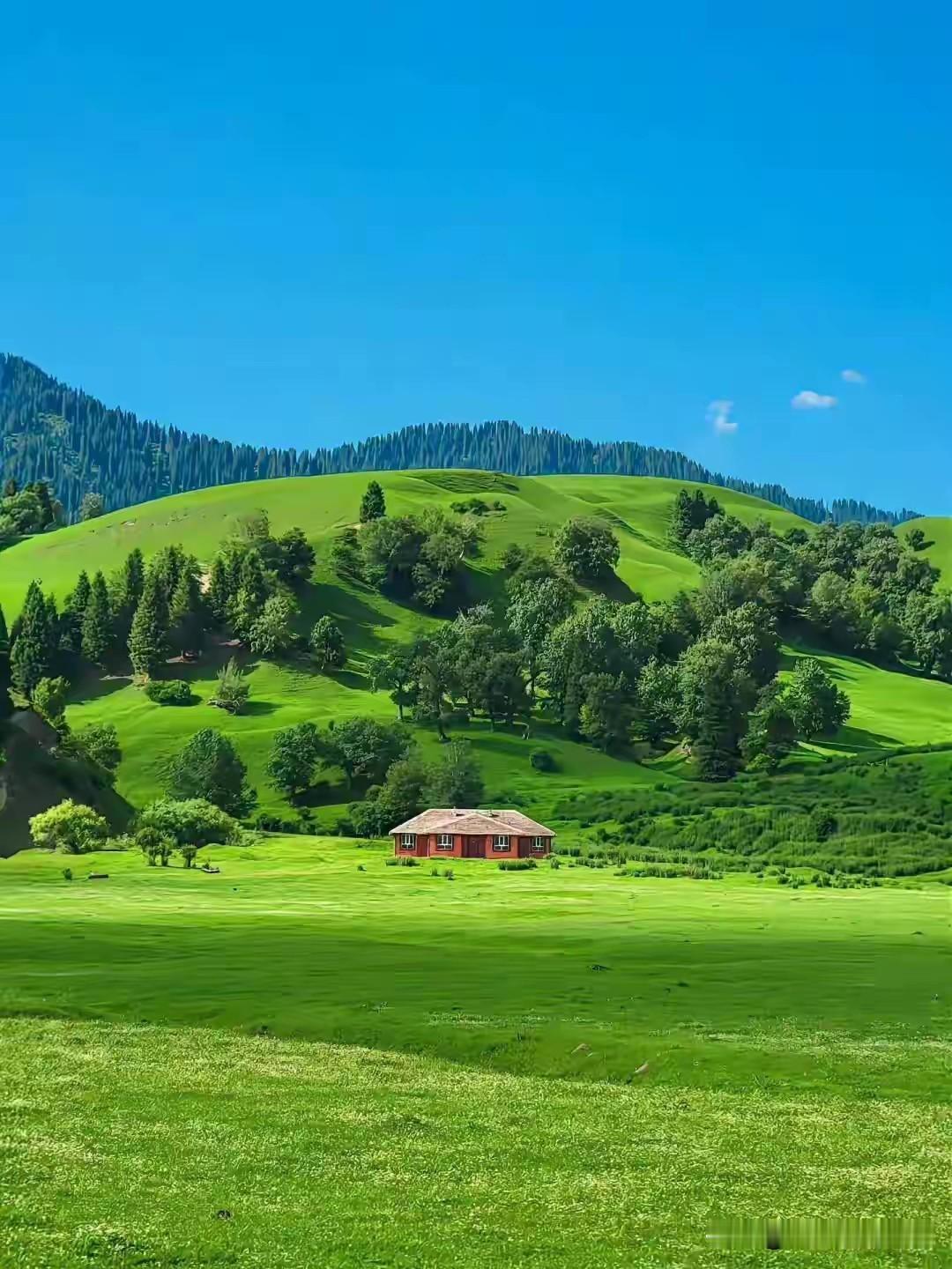 你想过si吗？说实话！
最近压力有点大，不管是经济压力，还是精神压力，都有点大！