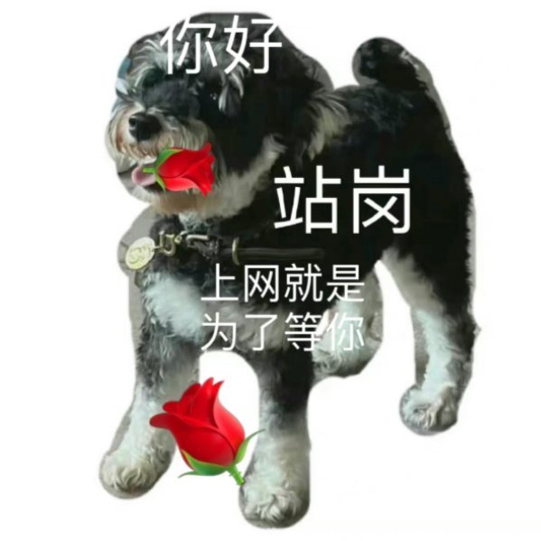 哥哥今天在哪儿玩呢