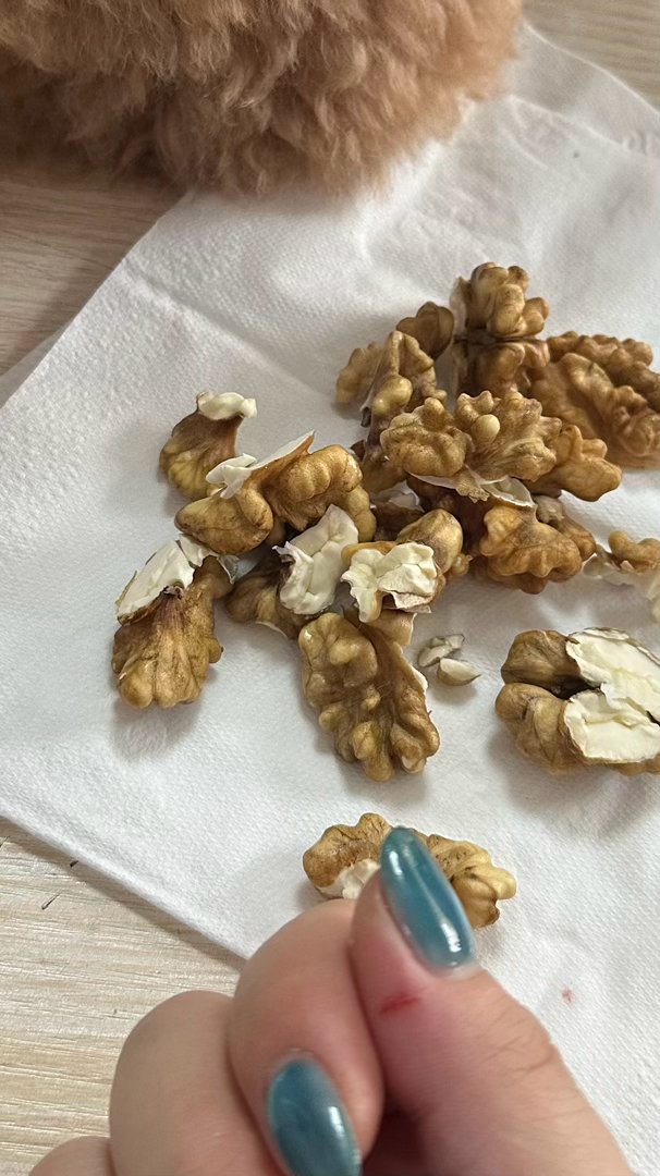 好歹毒的凶器 竟然伪装成核桃 