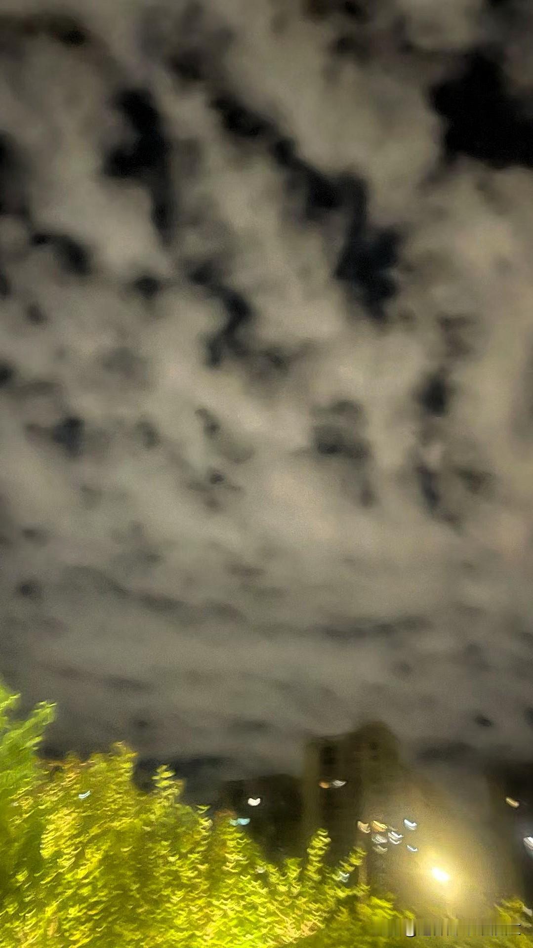 [彩虹]都市的夜里，街灯轻拂着树梢，层层云絮漫铺在夜幕之上。白日里的奔波劳碌与细