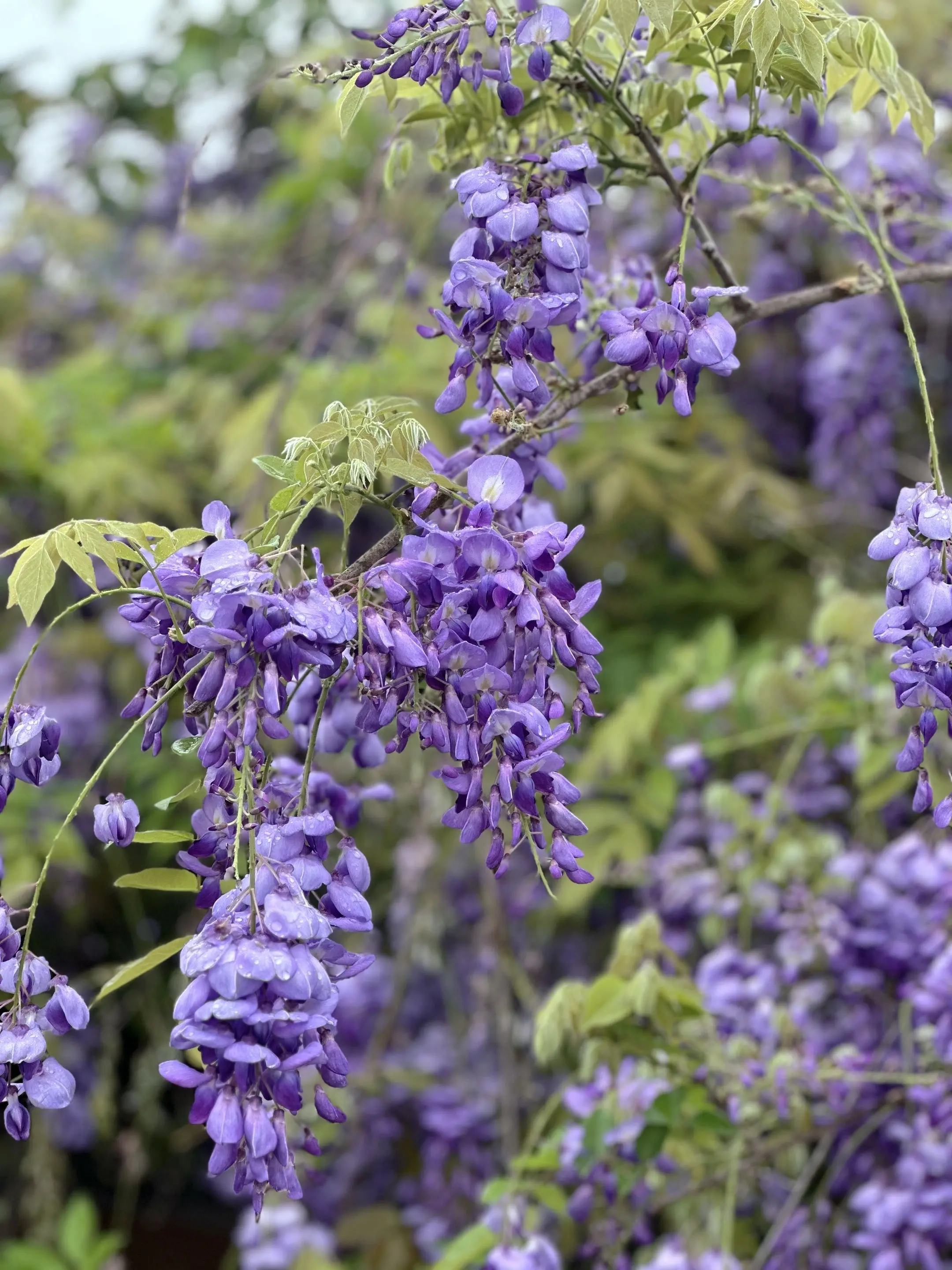 简简单单，说走就走～ 真心真意，不负时光！