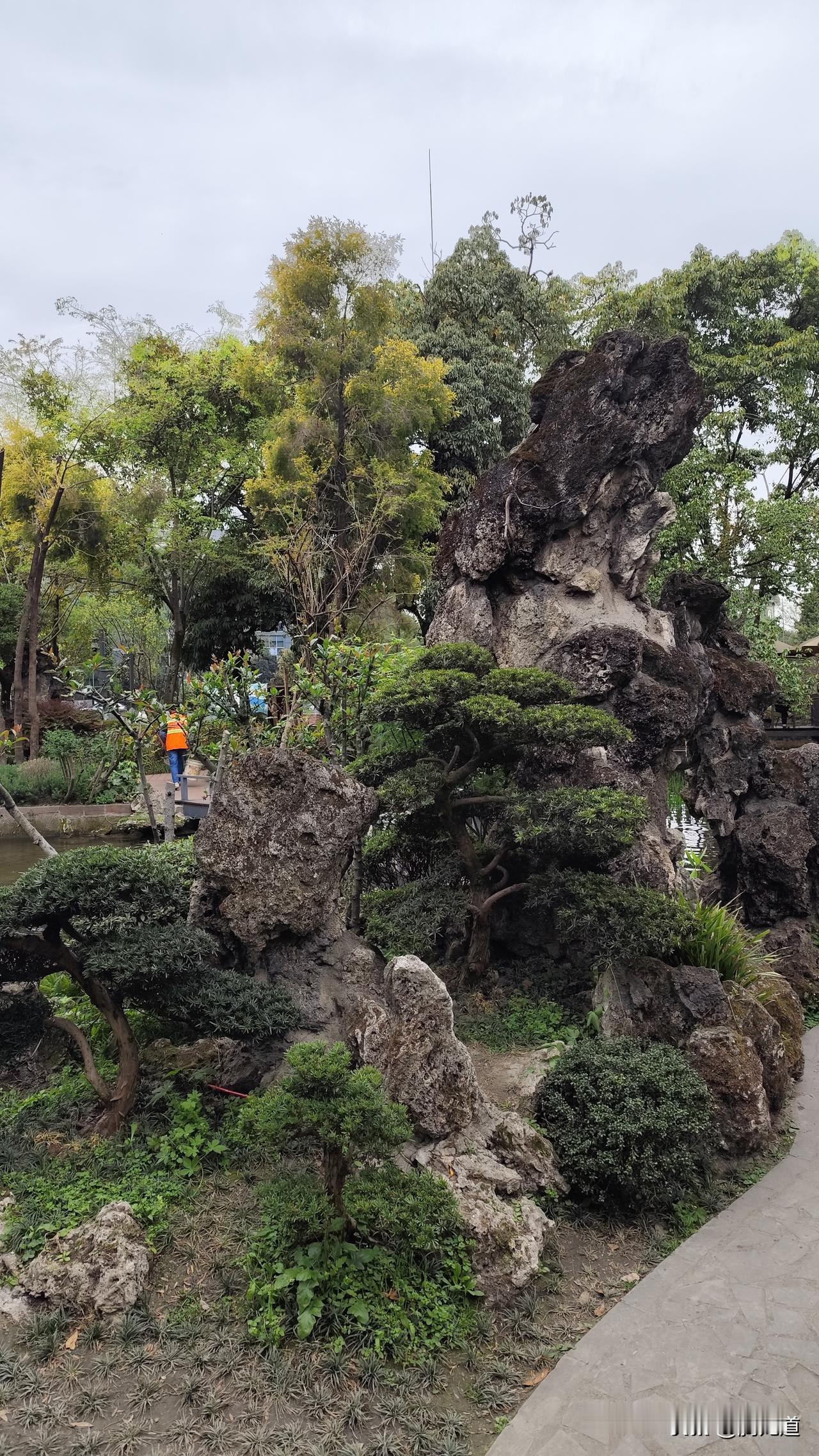 分享你随手拍的风景四川成都百花潭公园假山景色