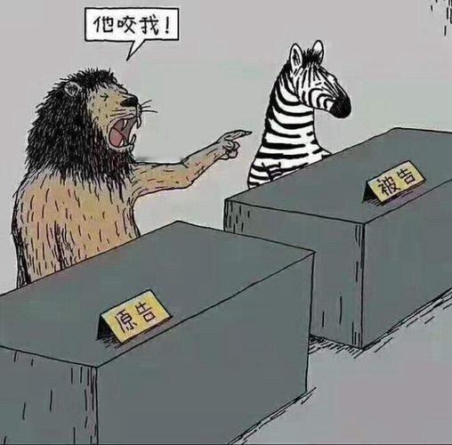 逃档网大花带着目的转型，奈何光说不练假把式，翻车惹了笑话就甩锅上家，自己清清白白