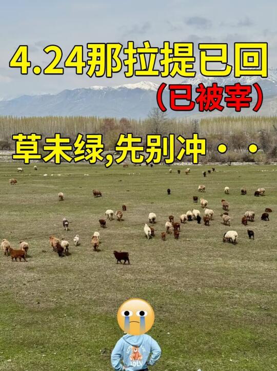 4.24📍那拉提已回😭草还没绿，先别冲