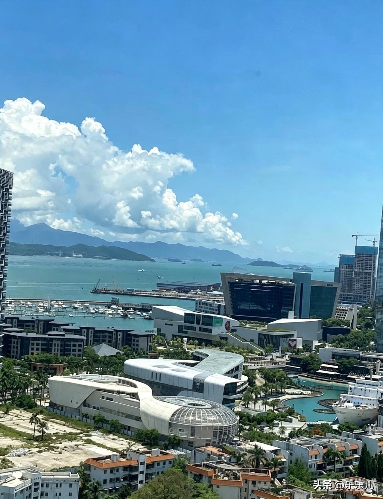 深圳业主：蛇口一个老小区，每天睁开眼睛就是这种景色……