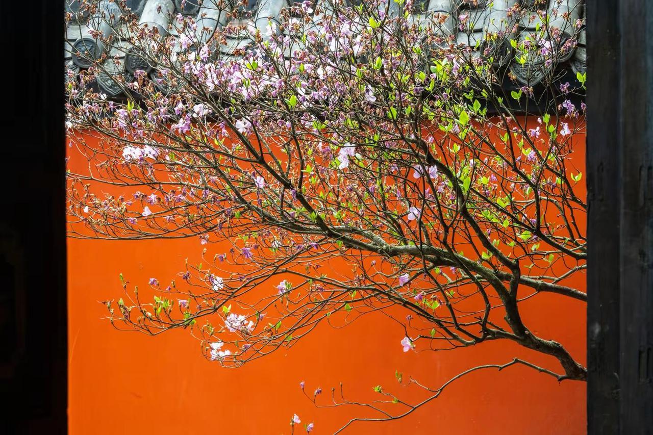 西昌大石板古村。西昌大石板古村