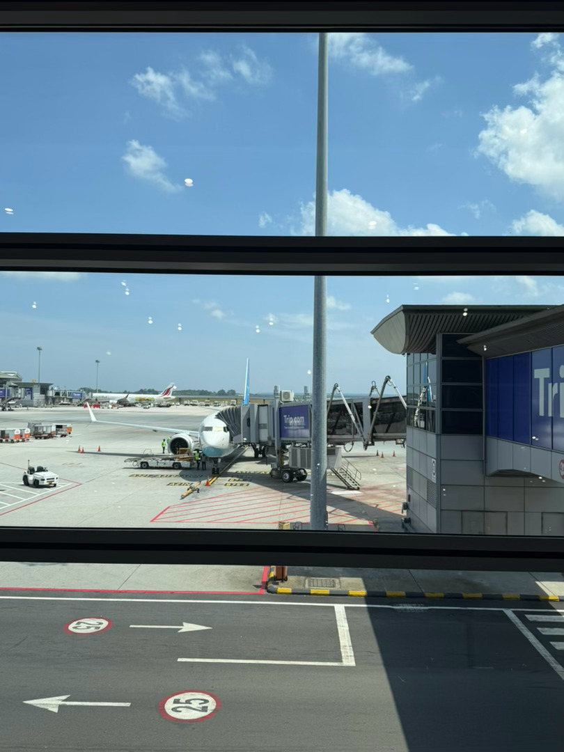 回国✈️ 