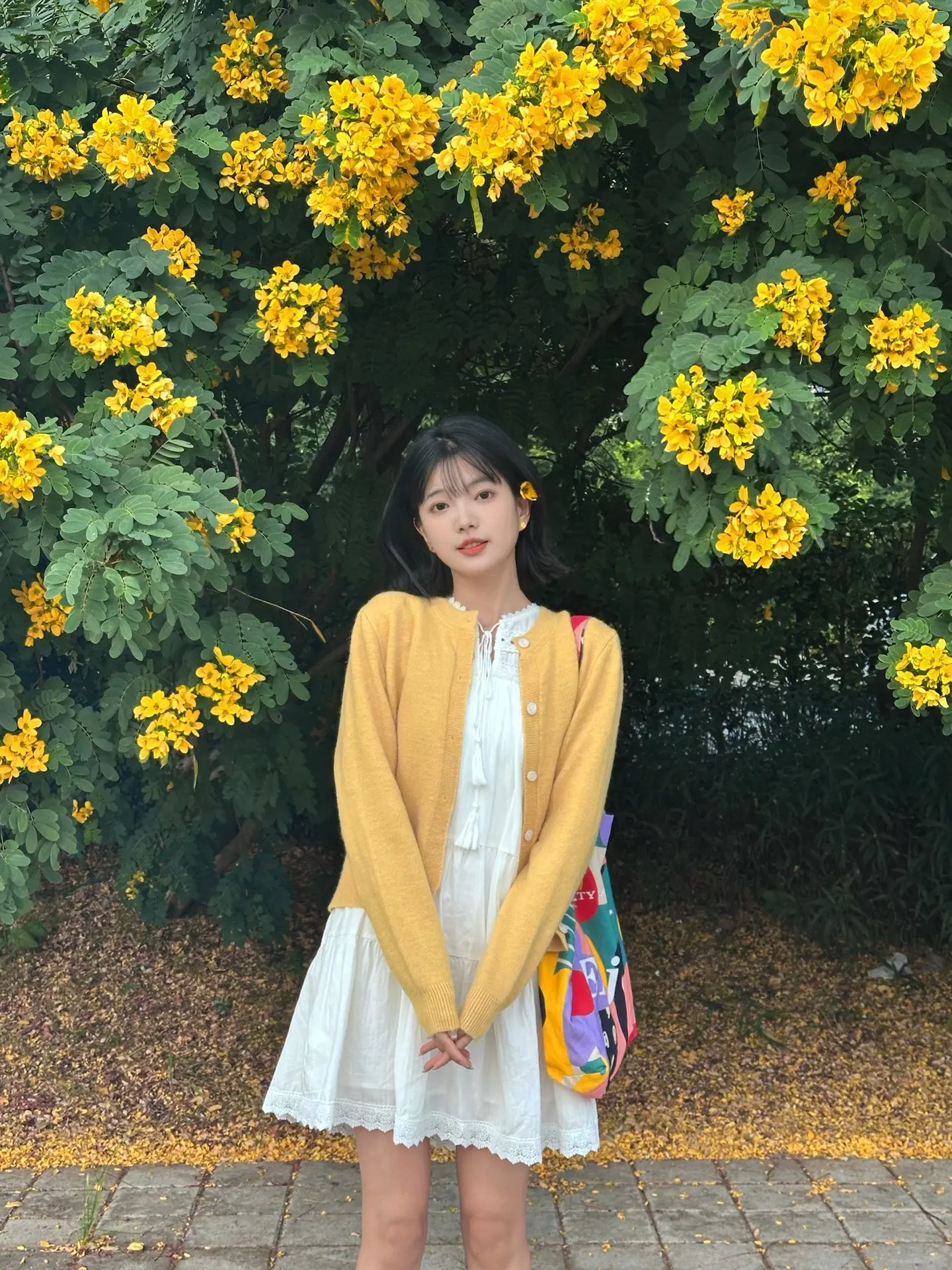 拍出氛围感 花海拍照 秋冬氛围感 我的摄影日记 故事的小黄花