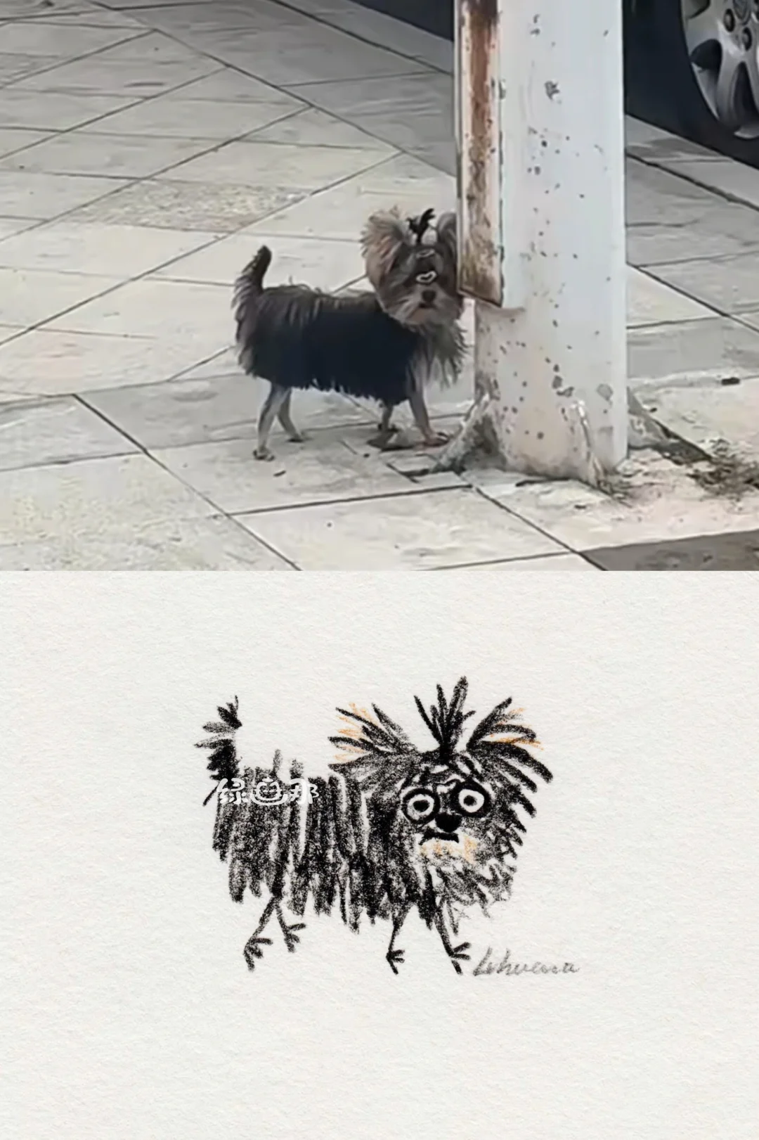 宝宝你是一只小跳蚤