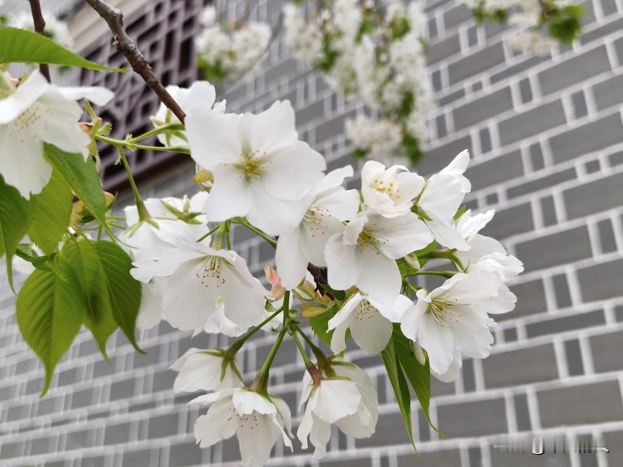 就是一边拥有，一边失去；一边选择，一边放弃；一边难过，一边自愈。
不是每一天都值