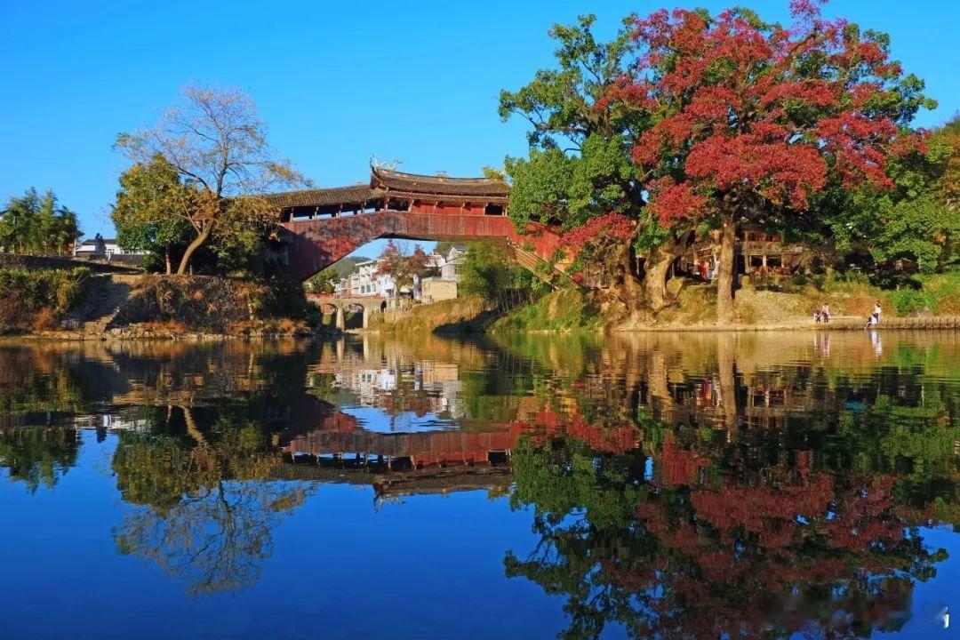 拿着手机看世界[超话]强城在行动 近日，国家文物局办公室、文化和旅游部办公厅、国