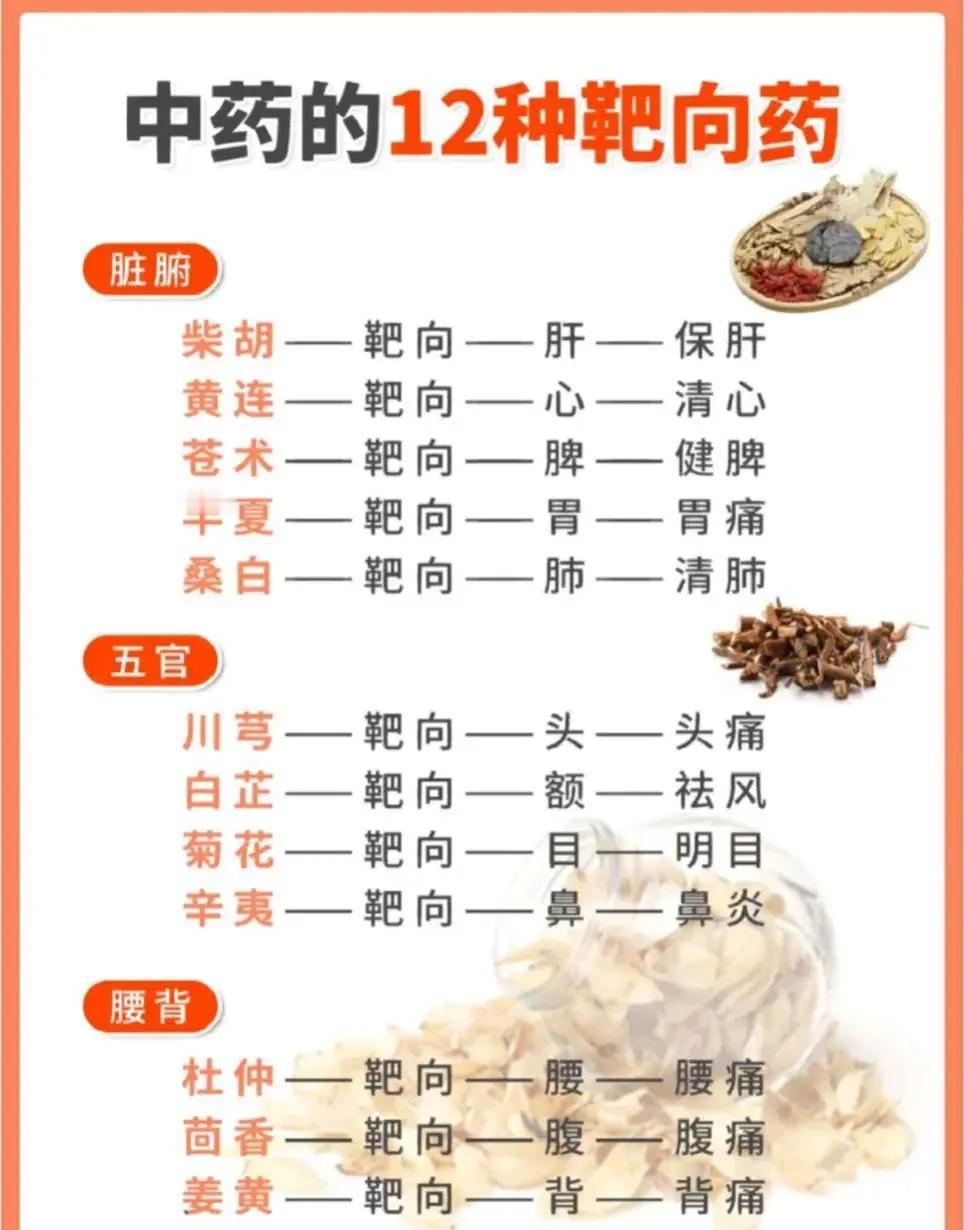 中药里的靶向药你听过吗？今天就来给大家盘点一下中药中的12种“靶向药”，快来看看