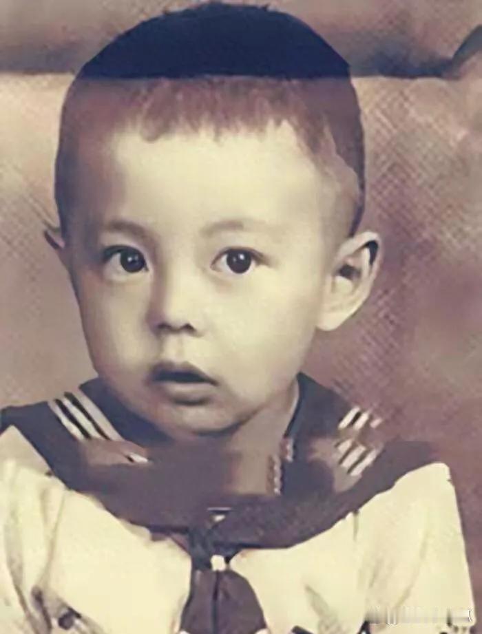 善恶到头终有报！66岁坐上轮椅的张铁林，已经活成了一个“笑话”

曾有一位名叫张