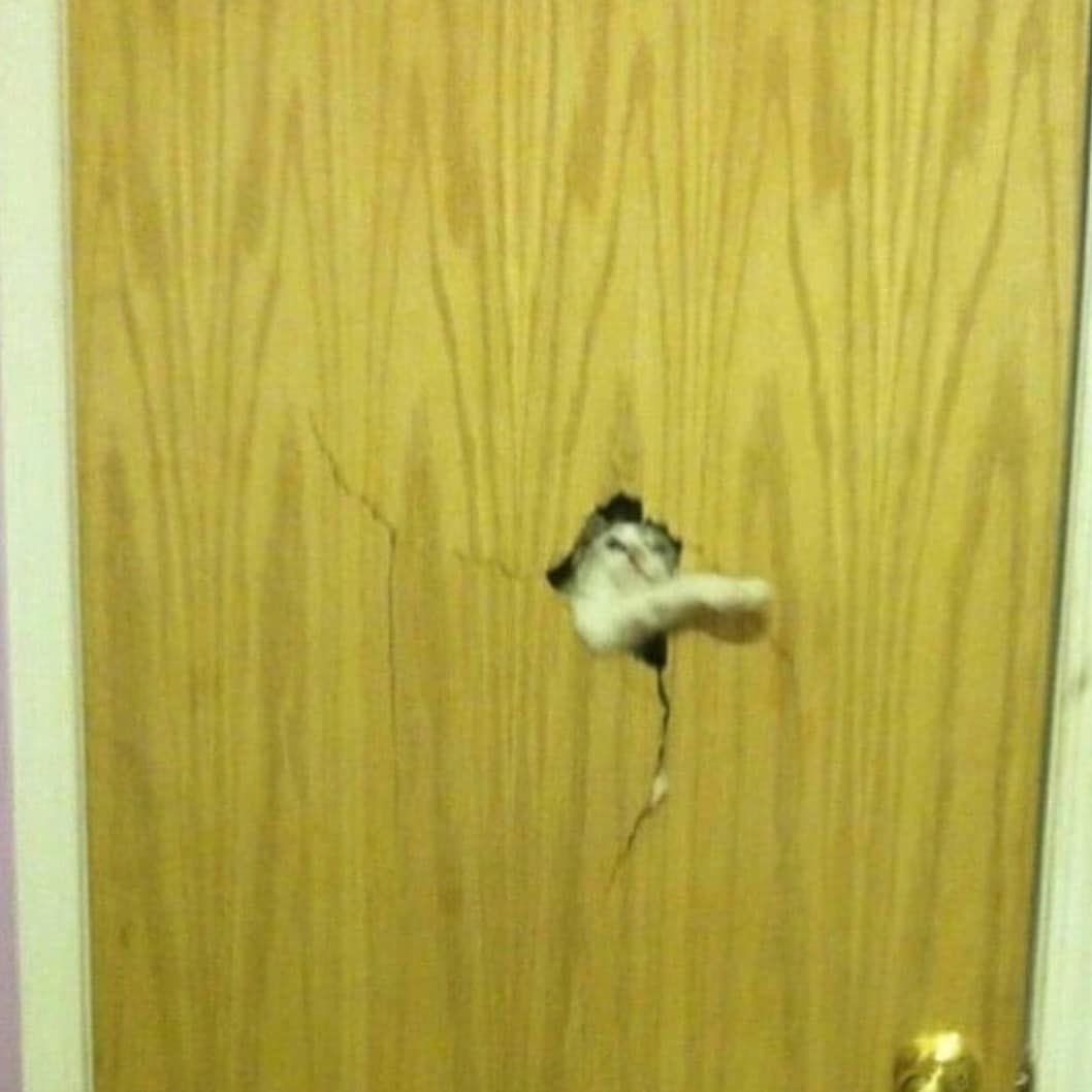 分享图片 ​​​