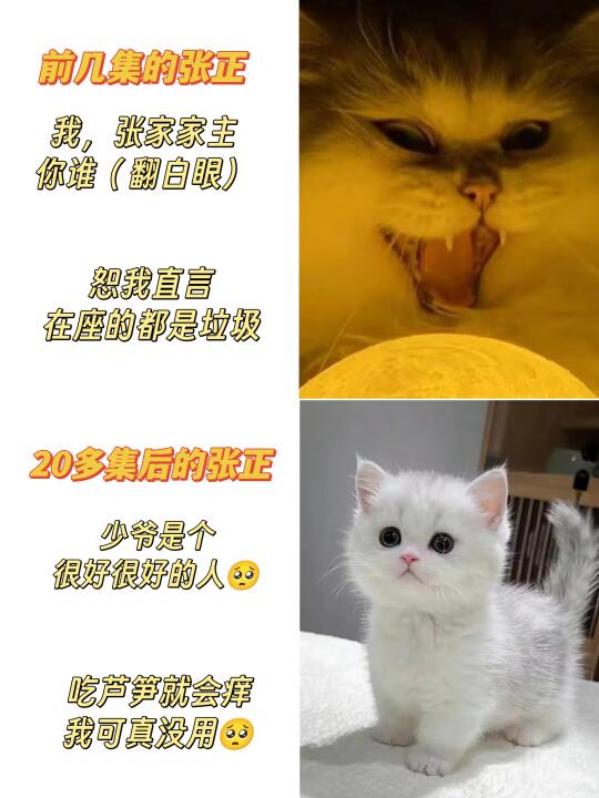 张正的初印象和现印象