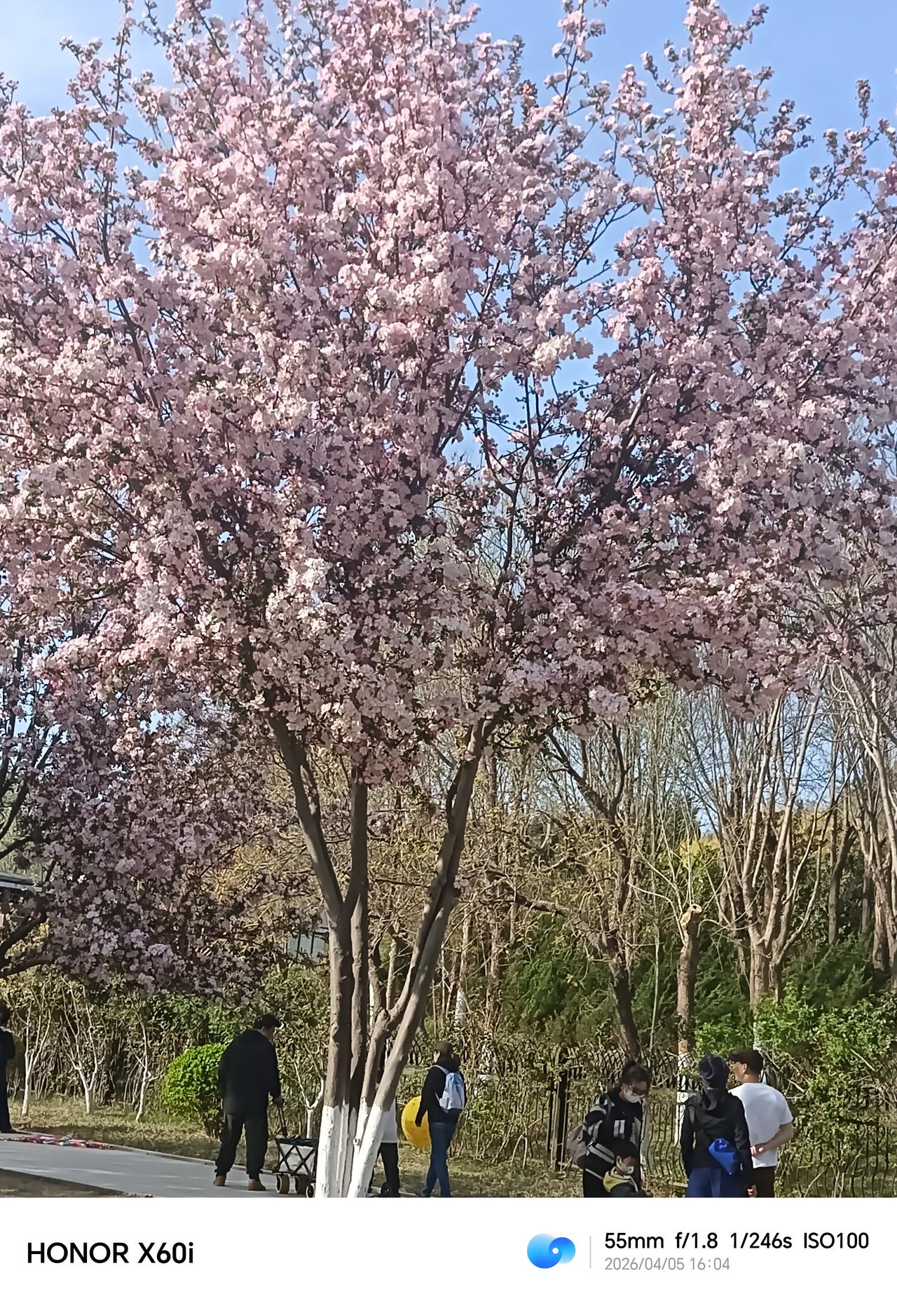 坐标天津南开，孩子在学校受欺负了作为家长我们该怎么做呢，有什么好的建议呢坐标天津
