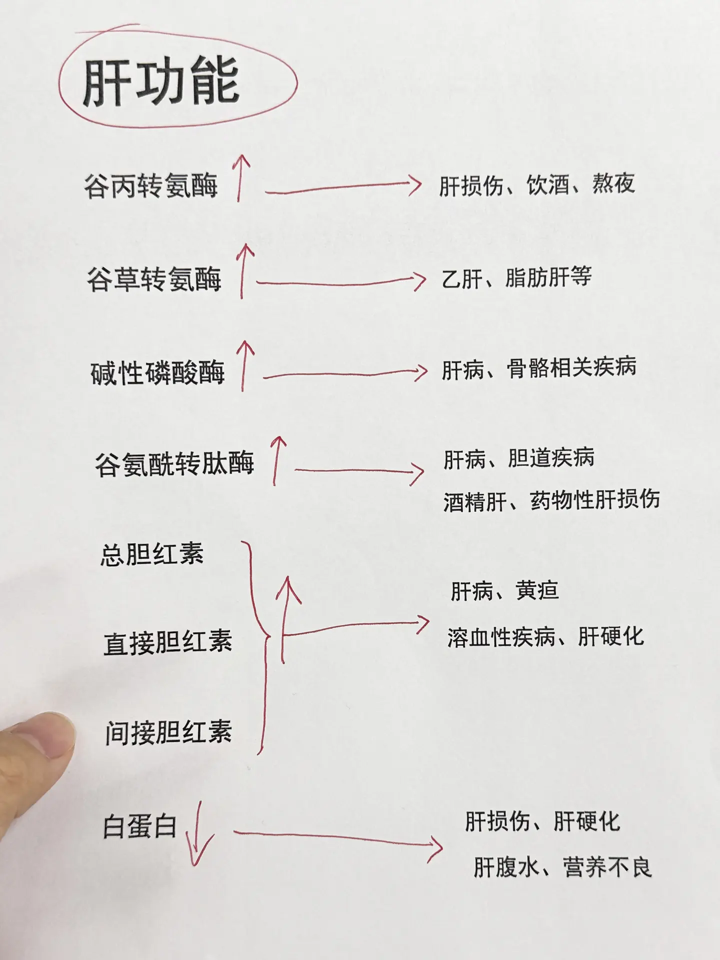 肝功能详解！你会看了吗？可以拿出来你的肝功能检查单对照一下！