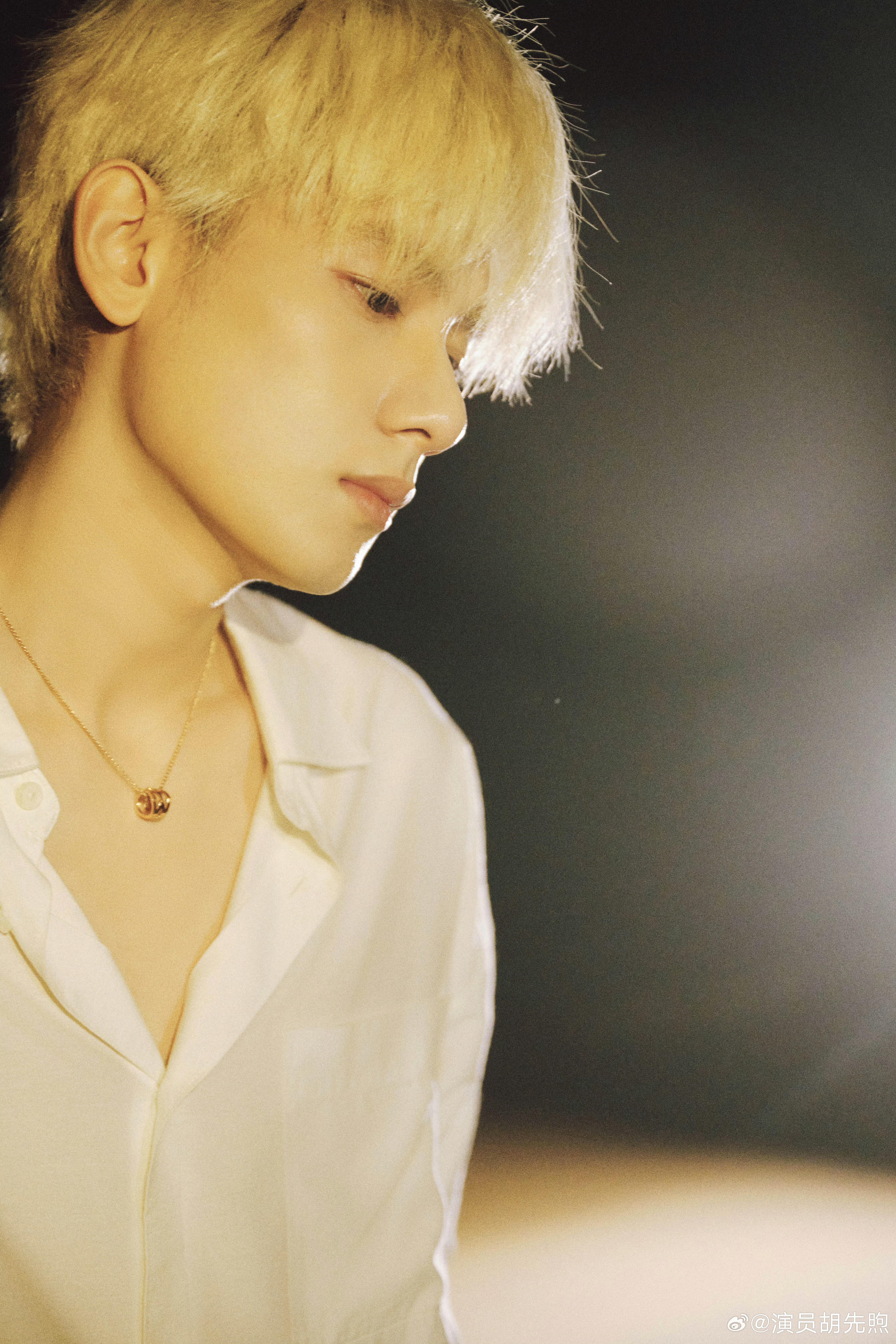 胡先煦别试探了有市场 胡先煦别试探了，真的有市场！万万没想到金发竟然这么适合小胡