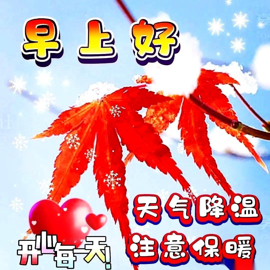 一出门，风跟刀子似的。
手机一亮，全是“天冷了多穿衣”。
清一色的模板，复制粘贴