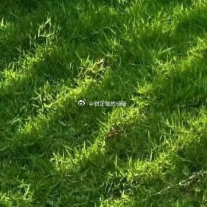 林悠悠是被冷醒的。后背硌着硬邦邦的木板，湿冷的空气从四面八方钻进骨头缝里，鼻尖萦