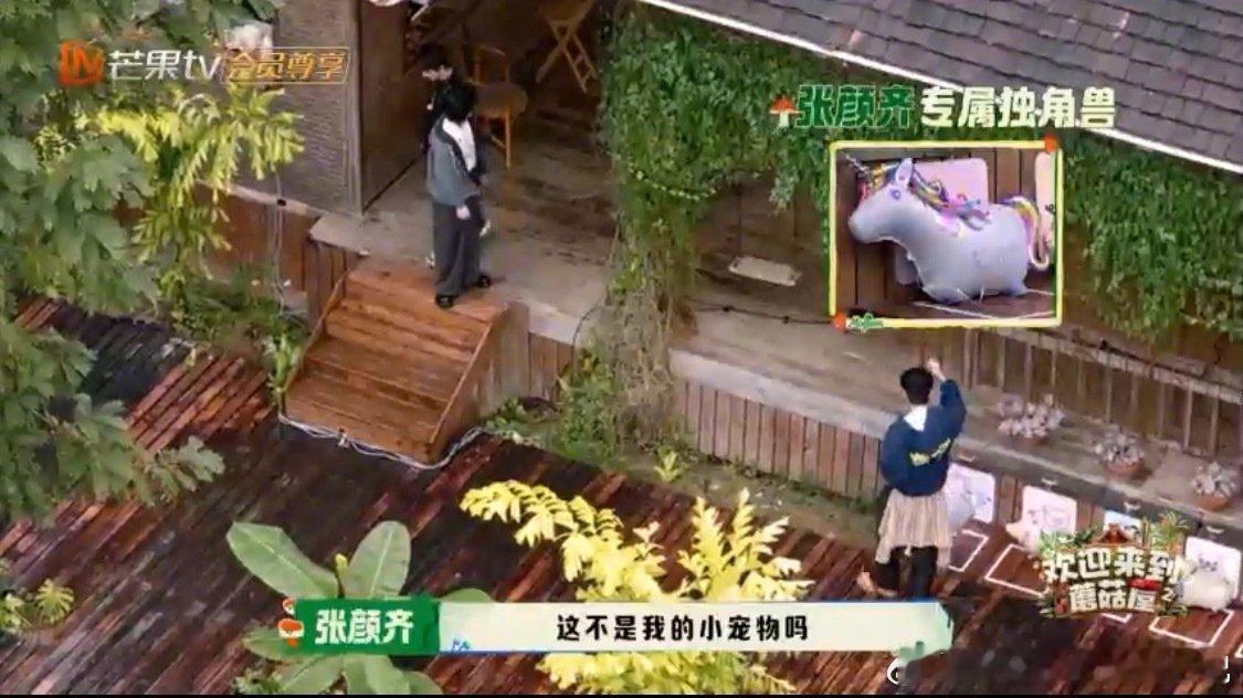 我对R1SE炒冷饭但依旧买账解散四年还在刷壶的团综，蘑菇屋全是回忆杀！冷饭炒得我