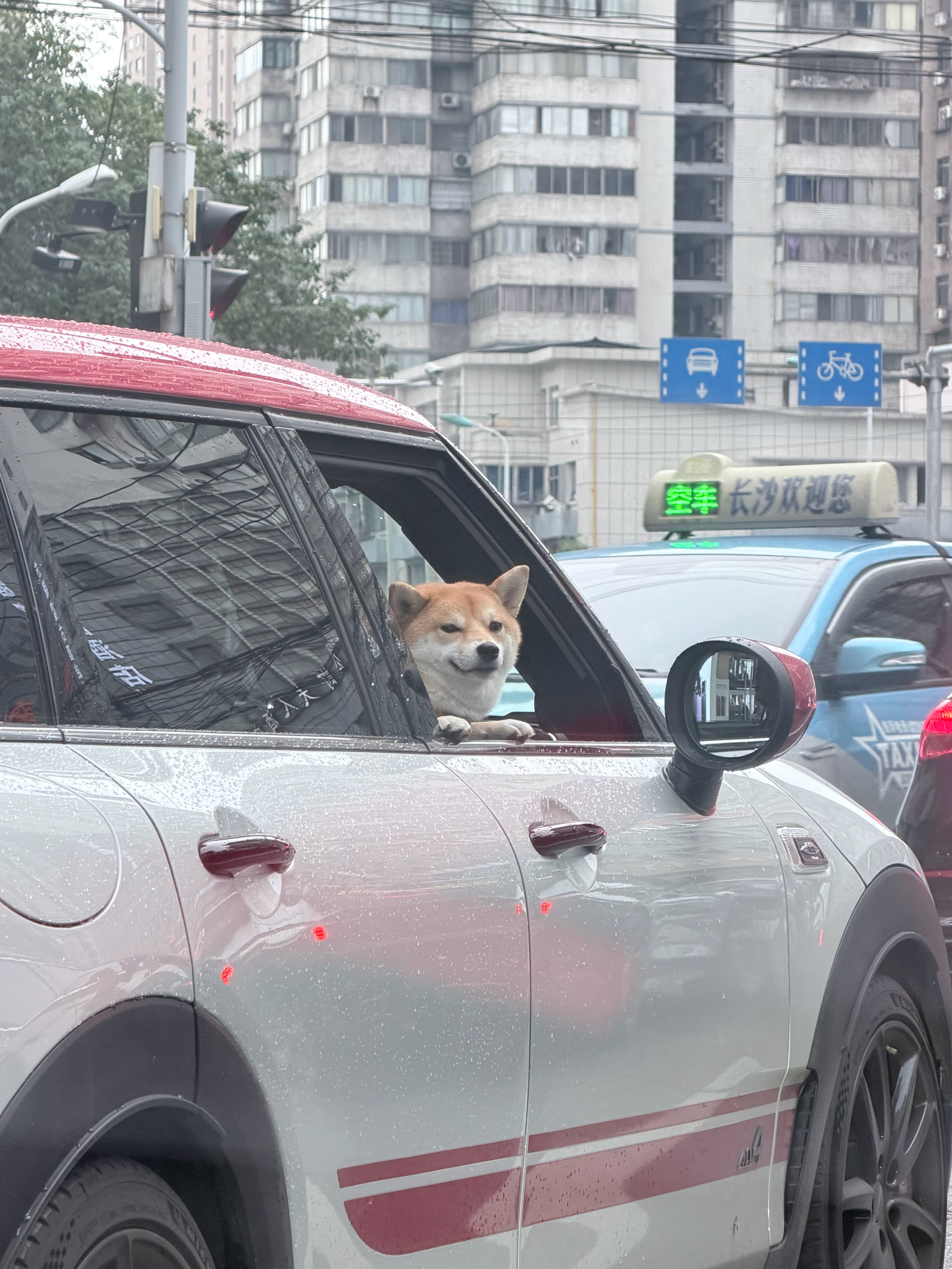 啥表情哈哈哈哈哈 
