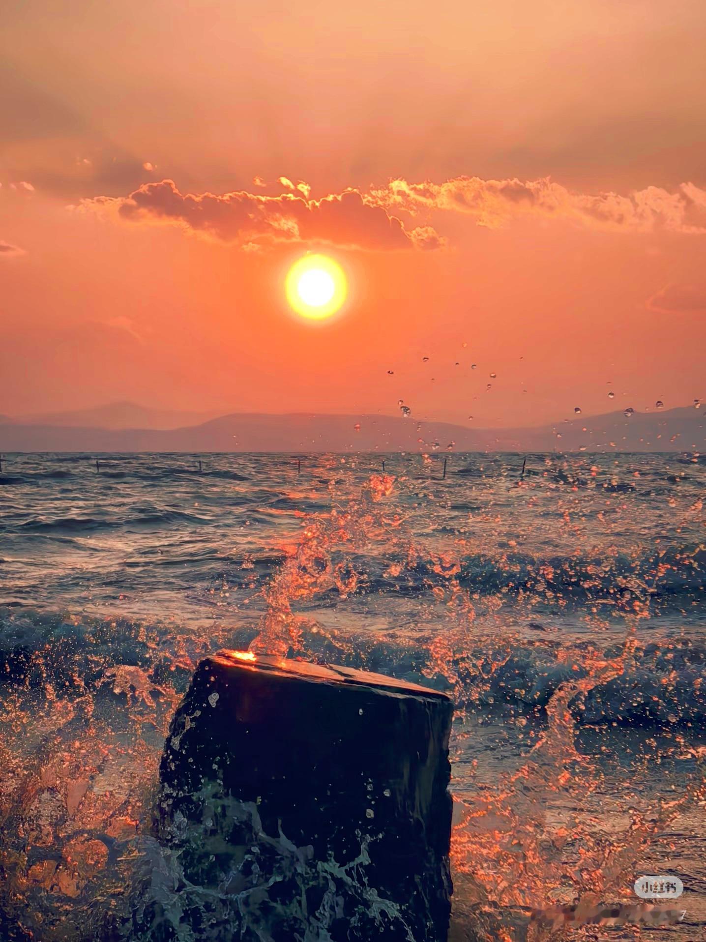 藏在文字里的人生至理我的私人宝藏书单书评 爱情最美的样子，是不占有昨日大雪。我坐