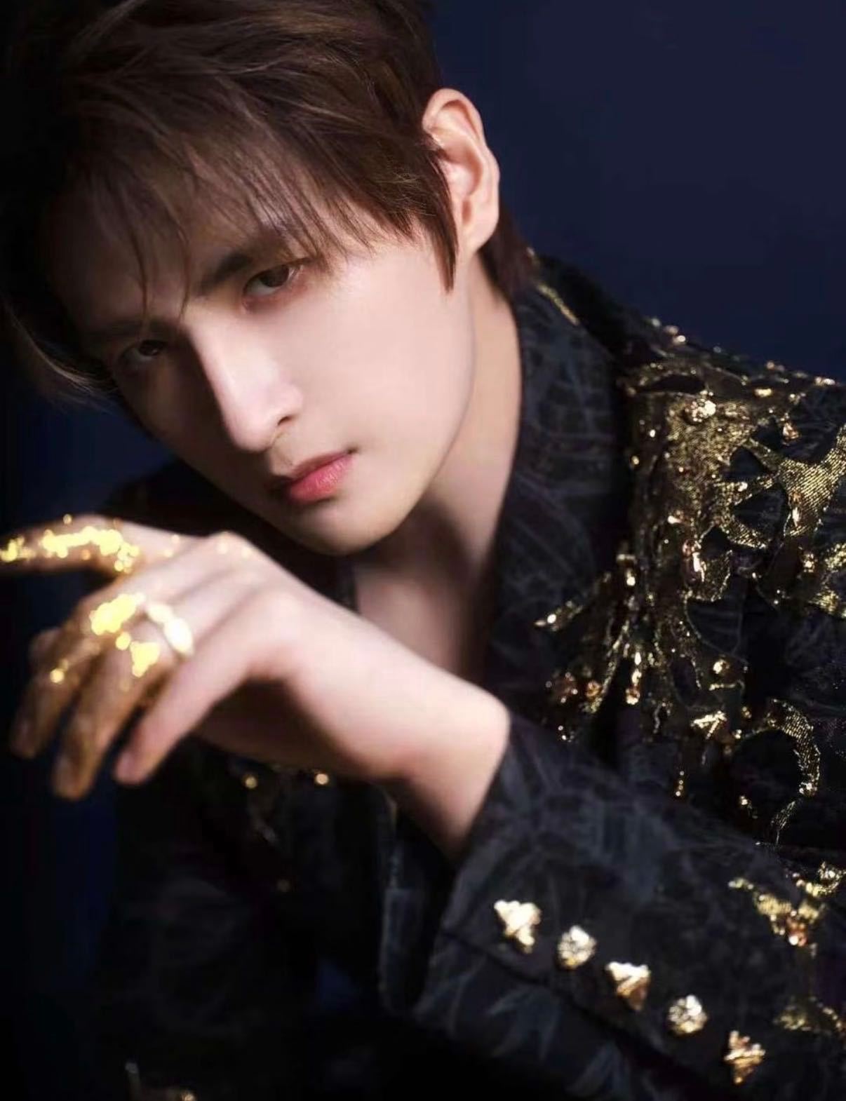 张远bird这次真飞起来了 张远四巡先导片太会了！“笼子在寻找一只鸟”戳中鸟塑粉