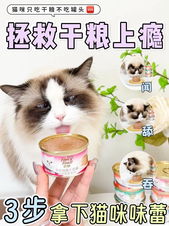 拯救干粮上瘾猫咪｜“闻舔吞”三步轻松拿捏~