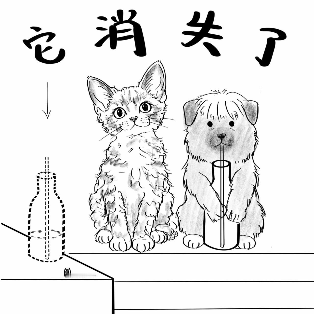 人生有很多遗憾，人生没有那么多如果。我们很多时候期盼“解决”，但更多时候只能“和