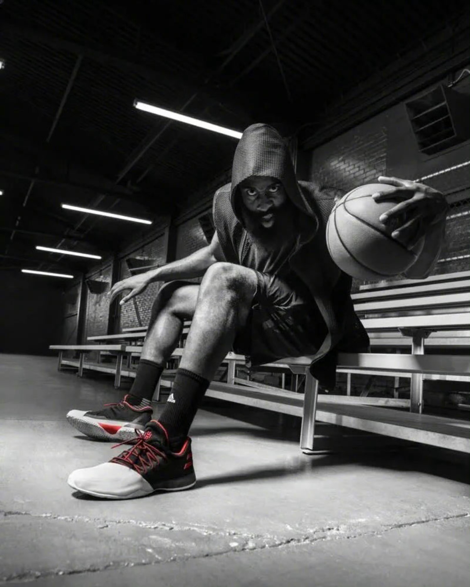 harden vol.1发行10周年，将会在8月复刻，永远的经典 