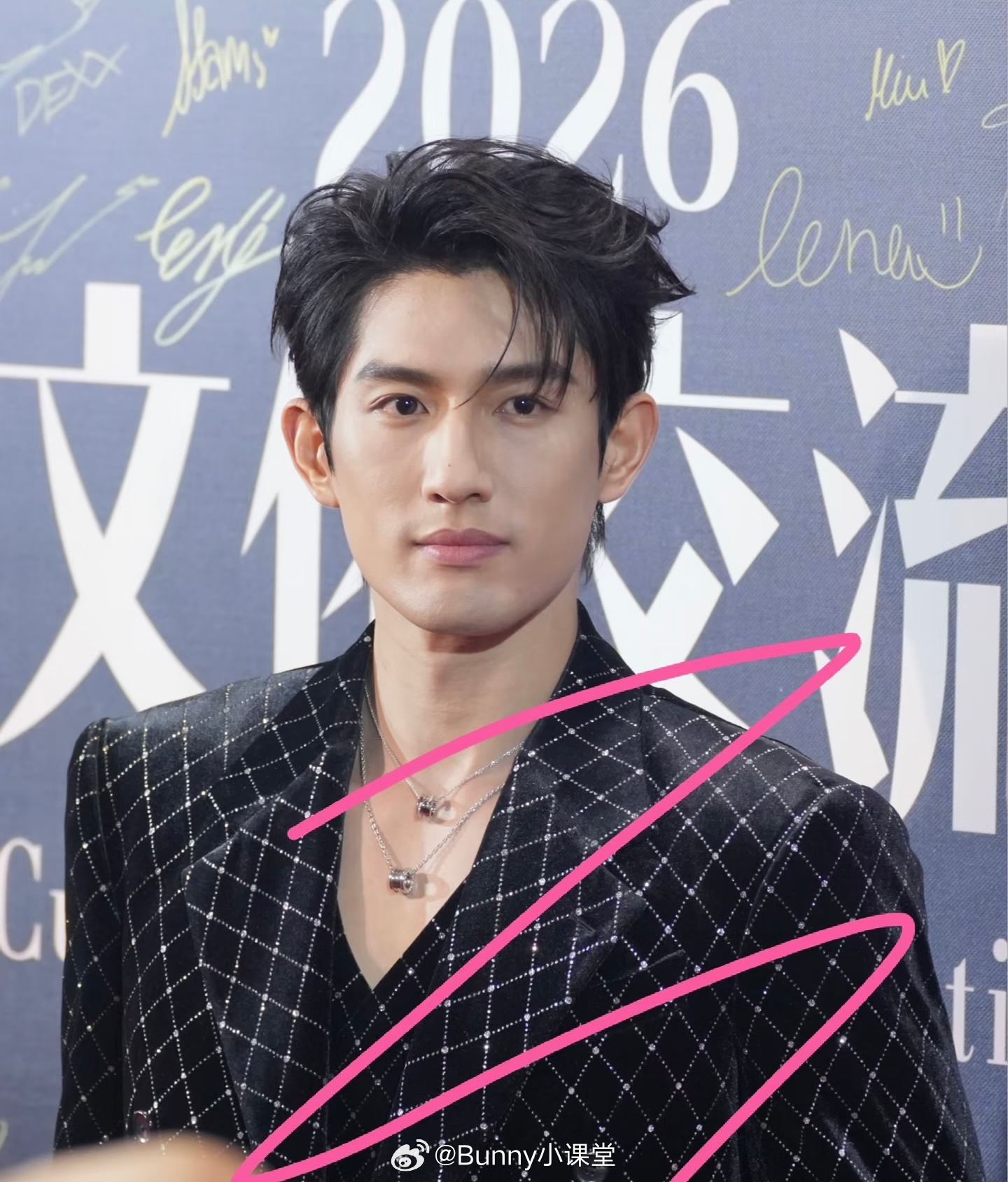 环娱男星亮相微博文化交流之夜泰国站红毯，不是说已经大爆了吗，红气养人体现在哪里…