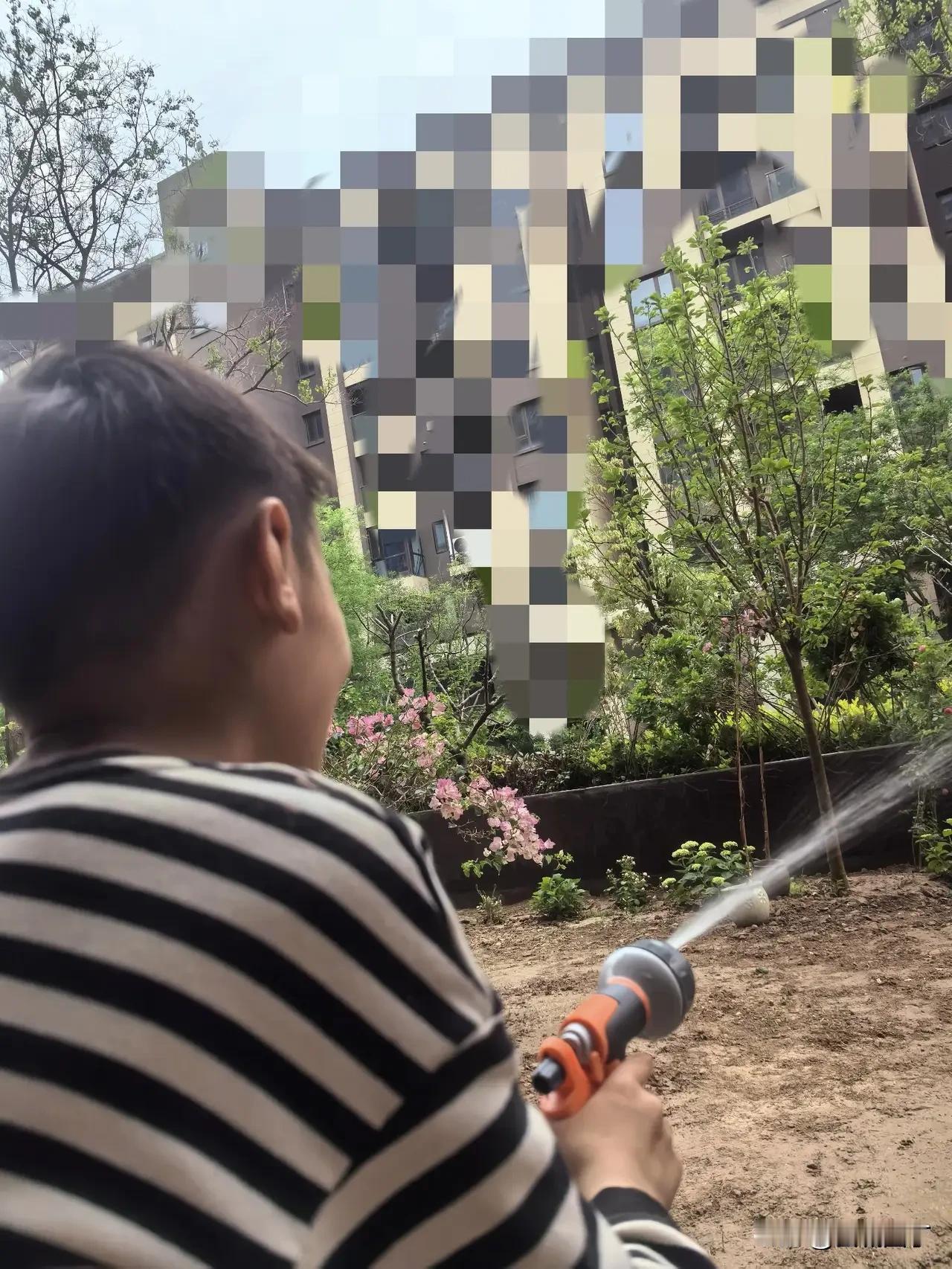 女儿开始后悔没有好好学习，刚刚专门给小宝打了一个电话，勒令小宝努力学习。

“小