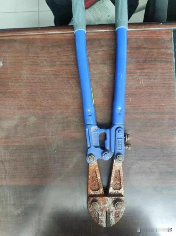 宁夏灵武市人民法院最近拍卖了一把生锈的断线钳。起拍价1元，最终以5元成交。这把钳