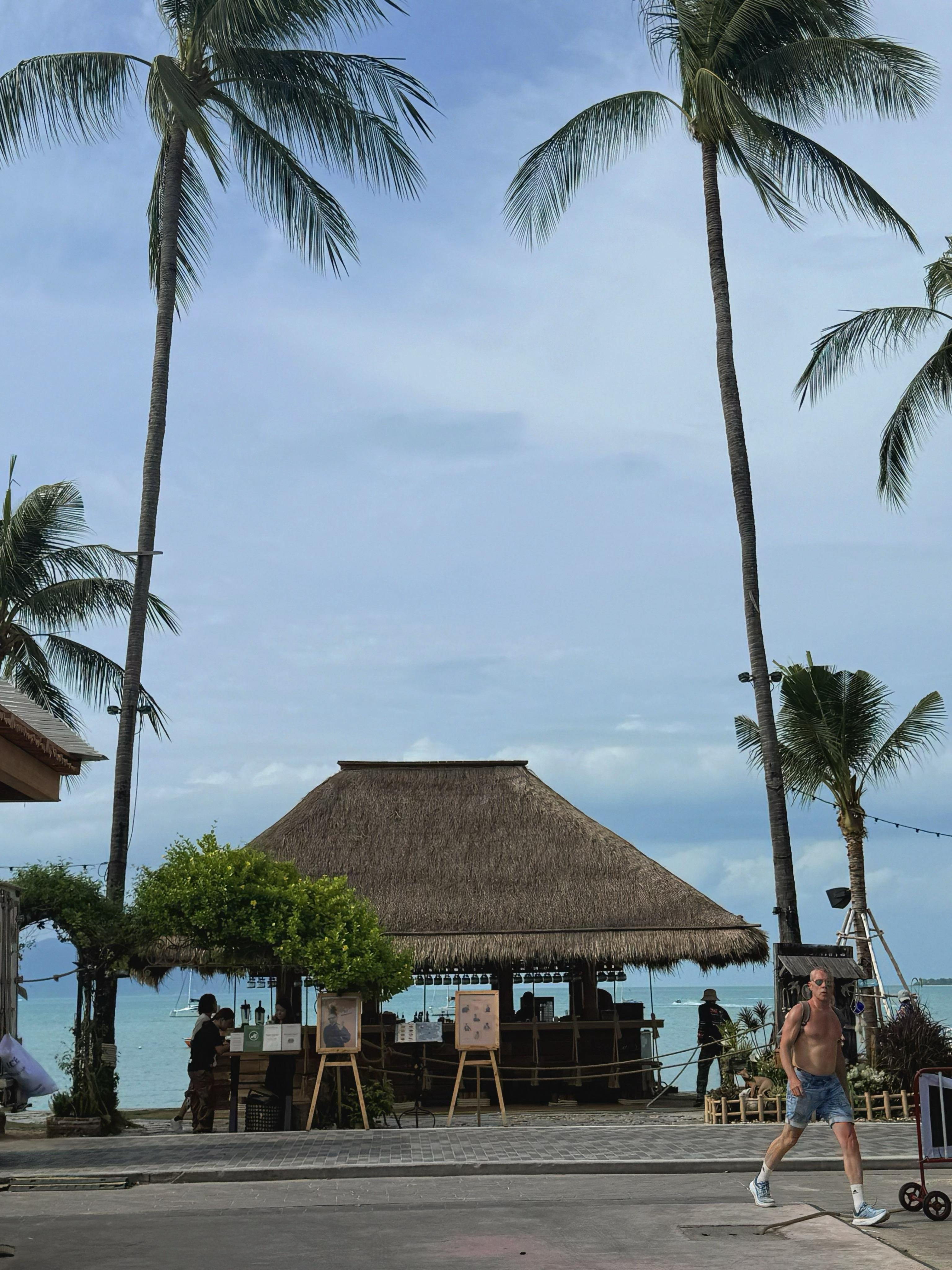 🥥˳ ˖ ˚✩🫧 ​​​