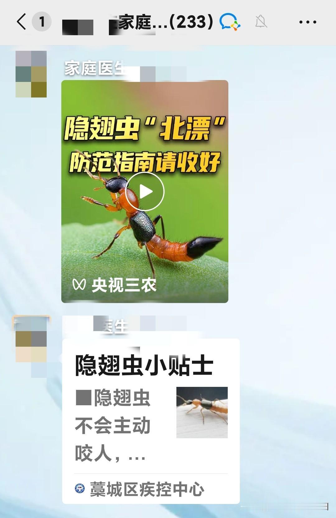 中招的看过来！孕晚期儿媳的“隐翅虫”惊魂记
昨天儿媳下班回到家，说脸上有些不舒服