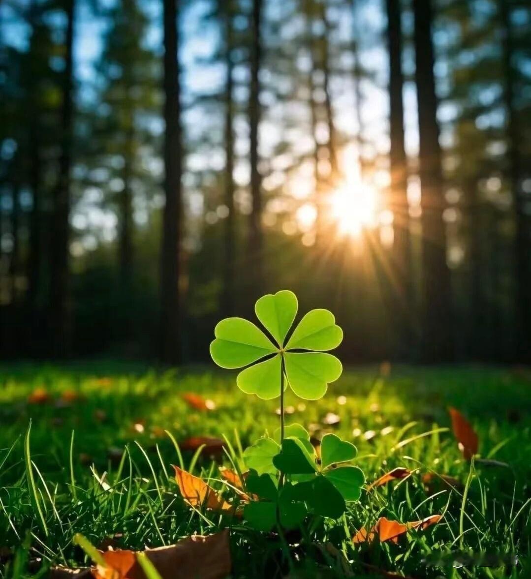 对父母摆冷脸的人，再善良也是装的
 
生活里总能见到这样一种人，对外人笑脸相迎、