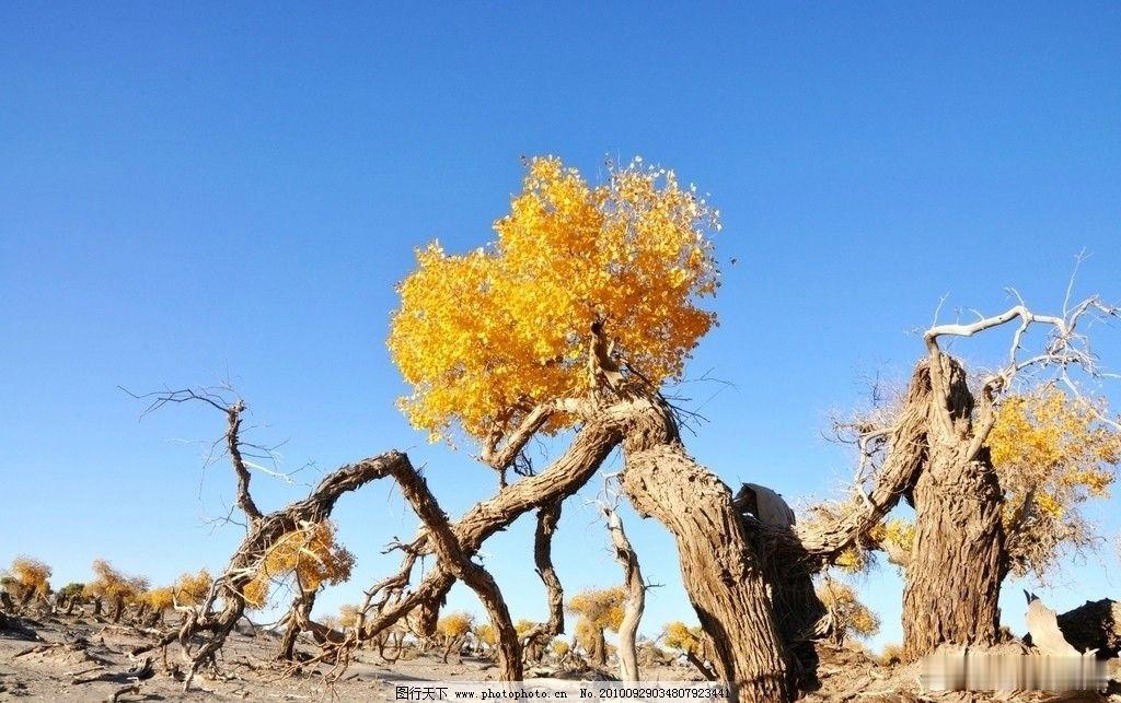  品味山水盛宴，阅览诗画美景，打造自驾游的首选地、露营游的佳选地、度假游的必选地